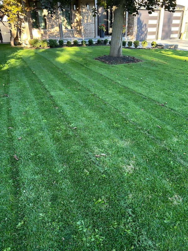 PureGreen Lawn Care, photograph 2 of Willowdale