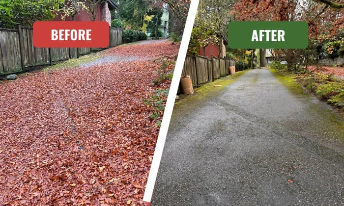 property maintenance by Raincity Property Maintenance in New Westminster