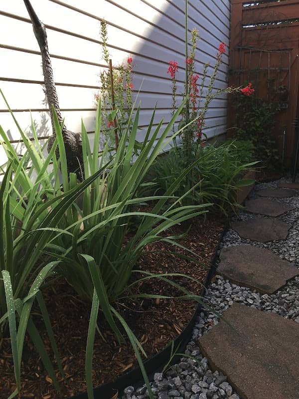 landscaping by Raindrop Gardening in East York