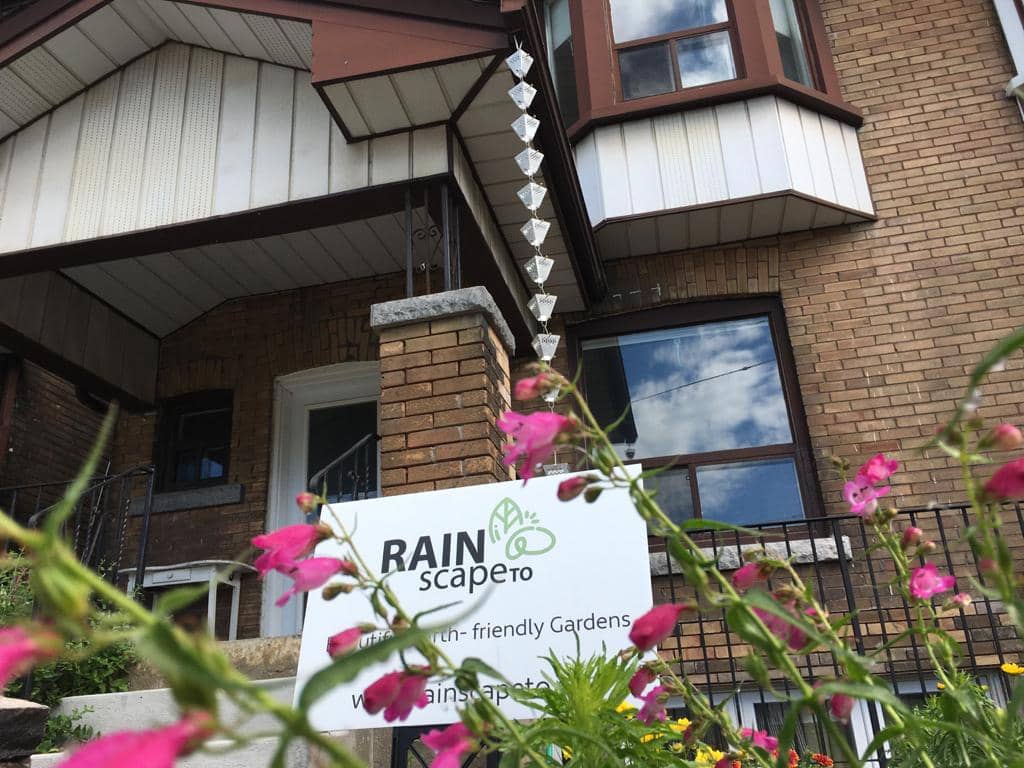 landscaping by RAINscapeTO in The Annex