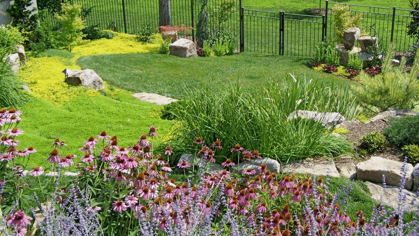 landscaping by RAJA GARDENING & LANDSCAPING in Cloverdale