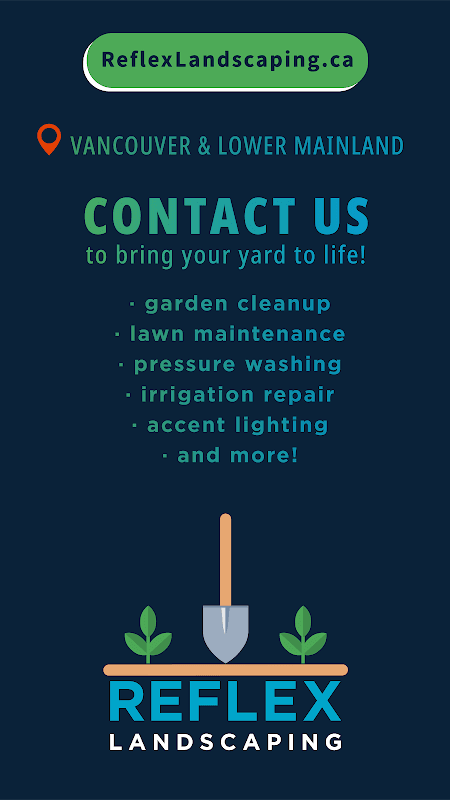 landscaping by Reflex Landscaping in Burnaby