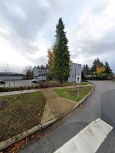 Reliable Landscaping ltd, photograph 3 of South Surrey