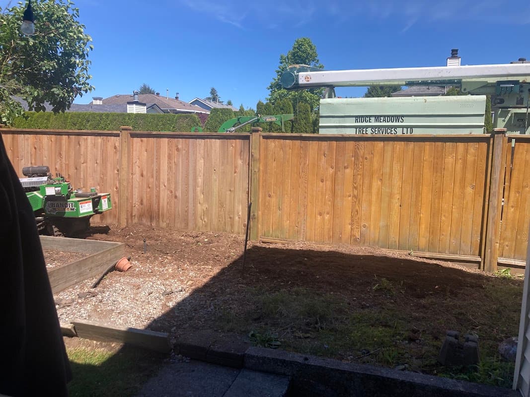 tree services by Ridge Meadows Tree Service in Pitt Meadows