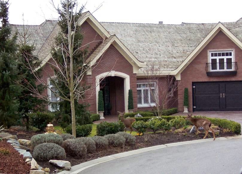 Rocky Mountain Landscaping, photograph 2 of Abbotsford