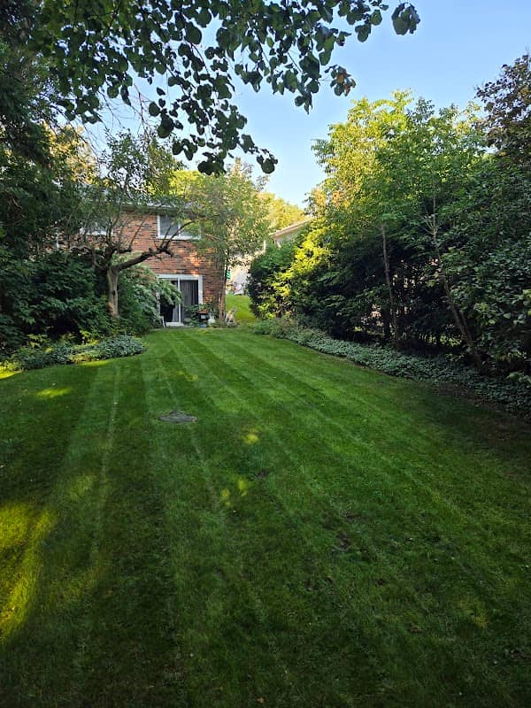 property maintenance by Roxborough Snowplowing & Landscaping in Agincourt
