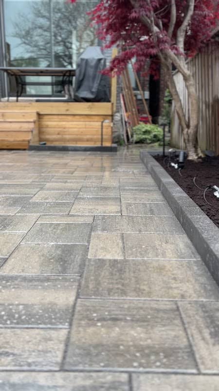 S.A Landscape Associates, photograph 3 of Yorkville