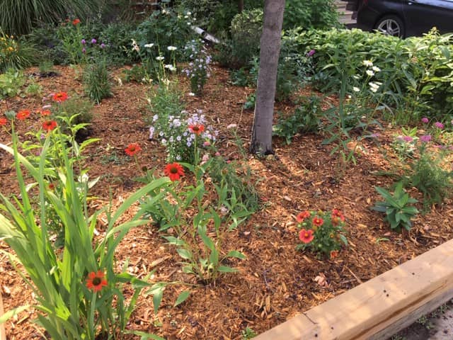 landscaping by Saben Landscaping in Corktown
