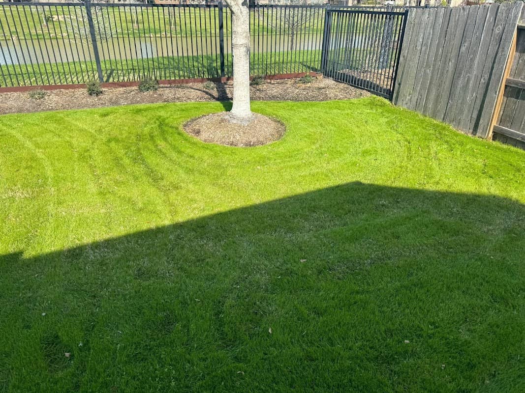 landscaping by Sam's Landscaping Services Inc in Oakville