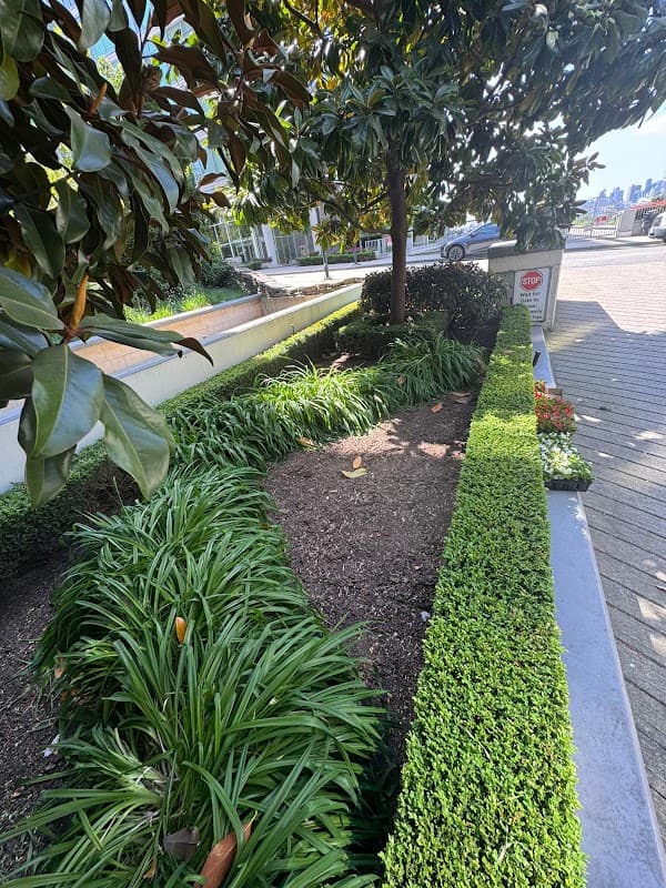 landscaping by Savile Services Ltd in Lynn Valley