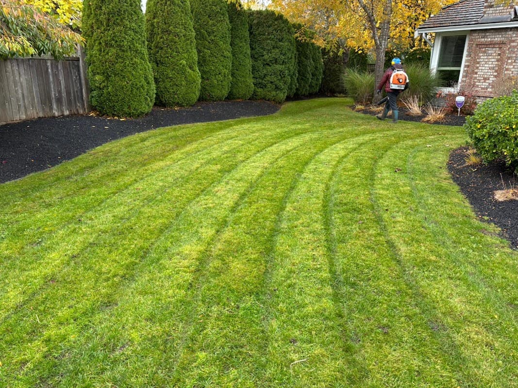 landscaping by Savile Services Ltd in Cloverdale