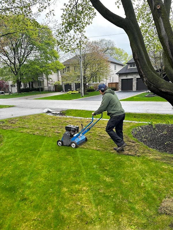 Sharp Edge Landscaping, photograph 2 of Oakville