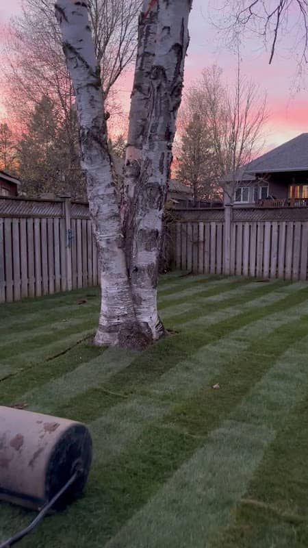 Sidis Construction and Landscaping, photograph 4 of Markham