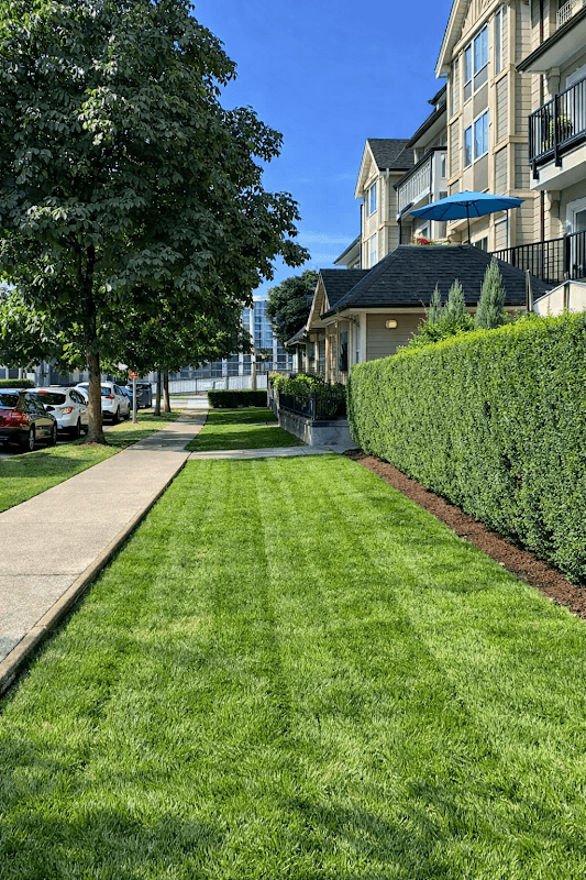 Silence of the Lawns Landscaping Inc., photograph 2 of New Westminster