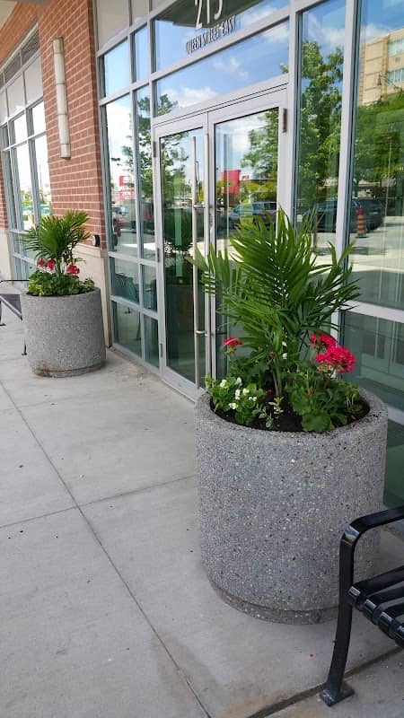 Silva's Landscaping & Snow Plowing, photograph 2 of Mississauga