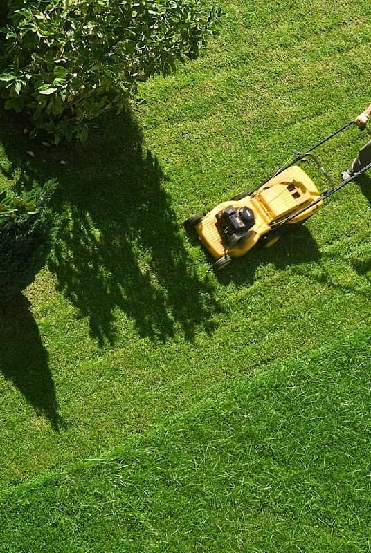 lawn care by Sk landscaping in Brampton