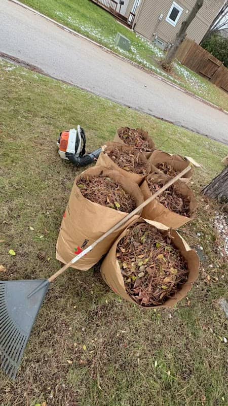 Sk landscaping, photograph 3 of Brampton