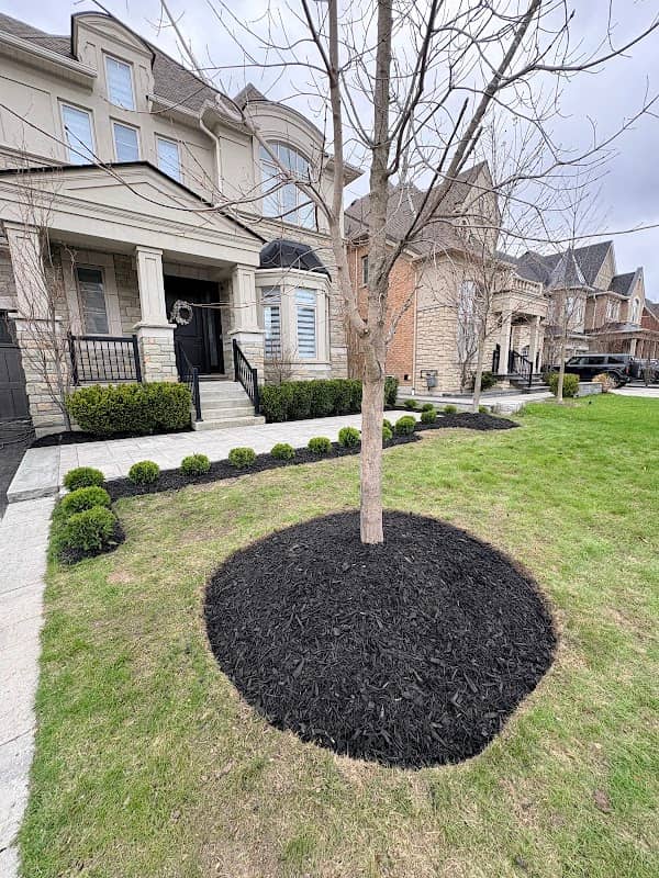Sk landscaping, photograph 4 of Brampton