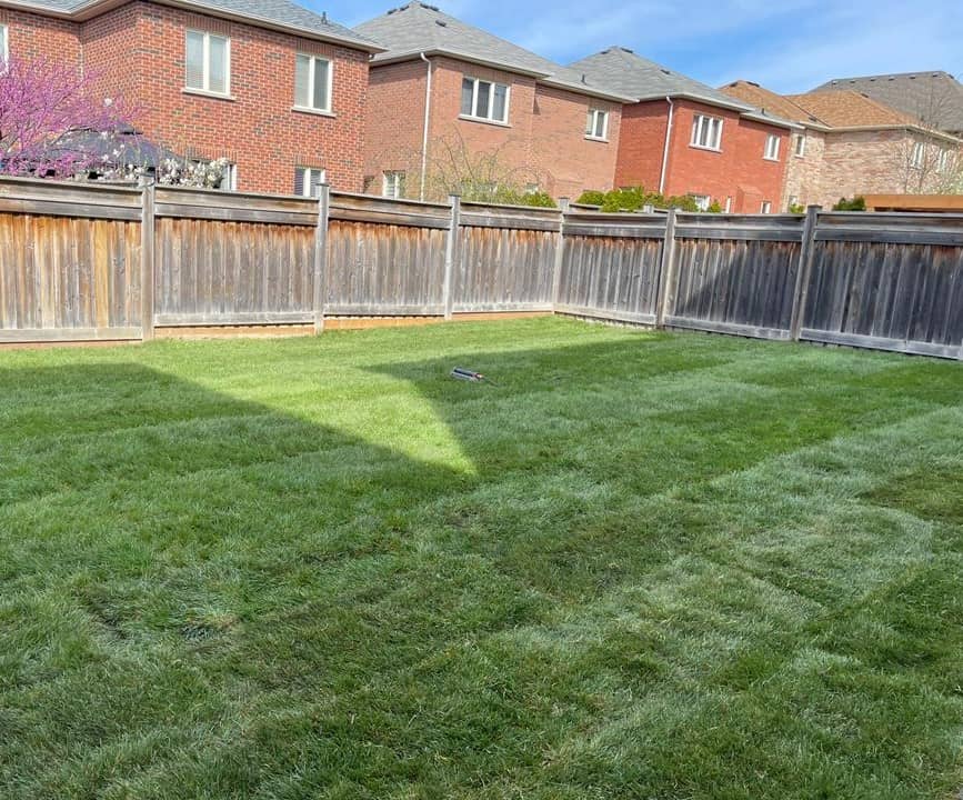 landscaping by Sod Installation Markham in Markham