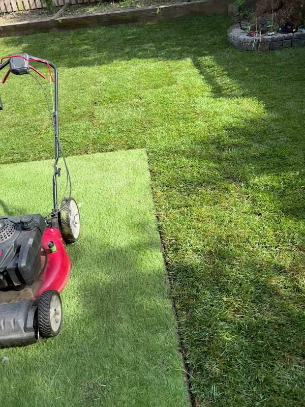 Sod pro express, photograph 4 of Oakville