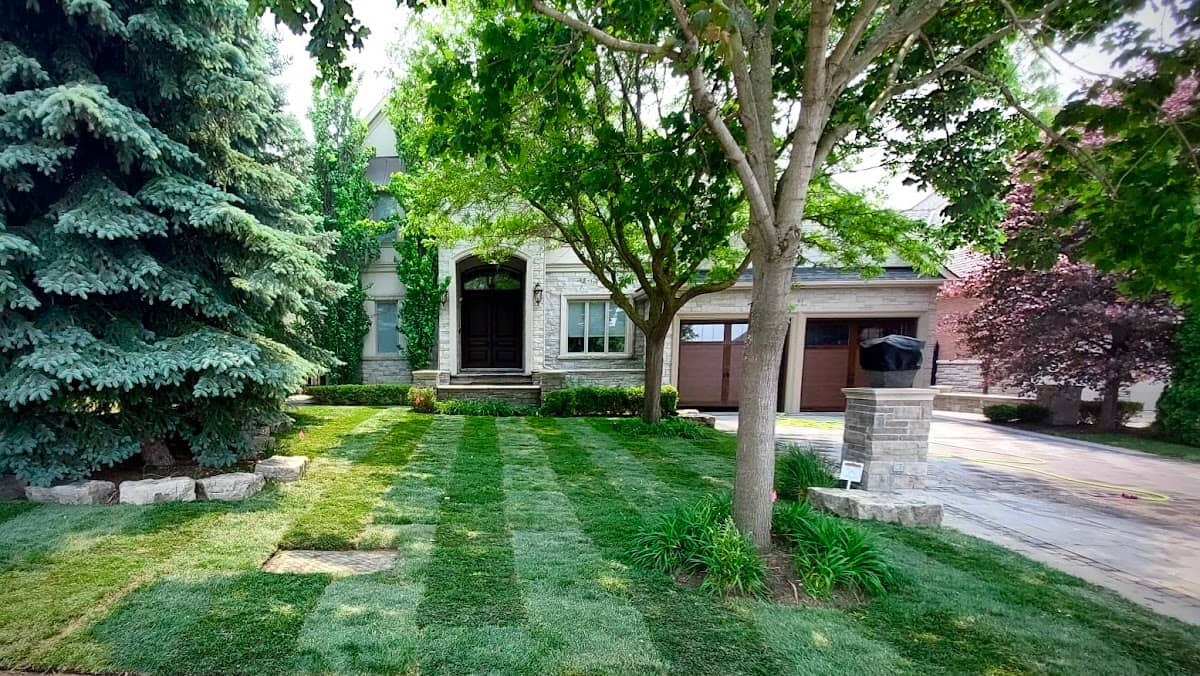sod installation by Sodding Canada - Sod Installation & Lawn Replacement in Vaughan