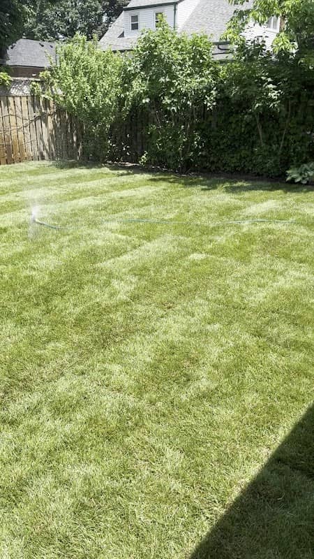Sodding Canada - Sod Installation & Lawn Replacement, photograph 3 of Vaughan