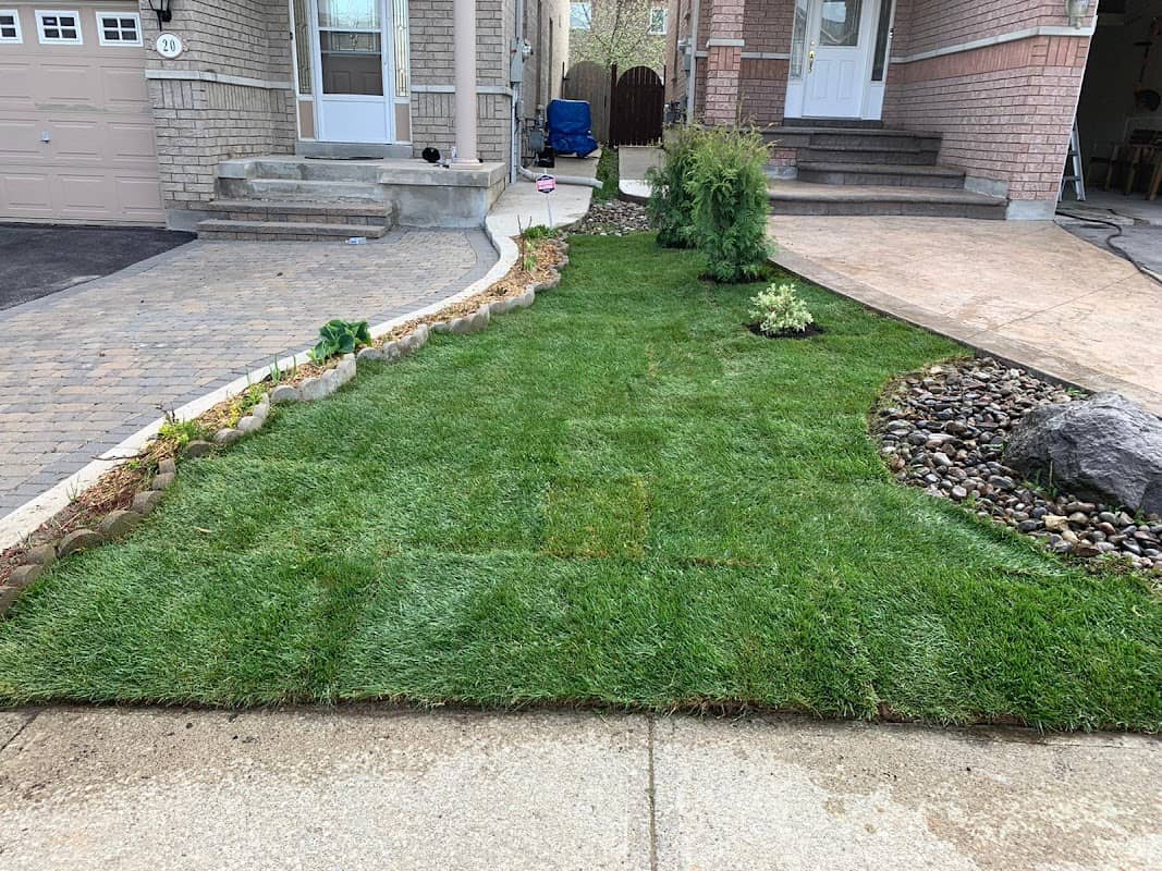 Sodding GTA, photograph 2 of Willowdale