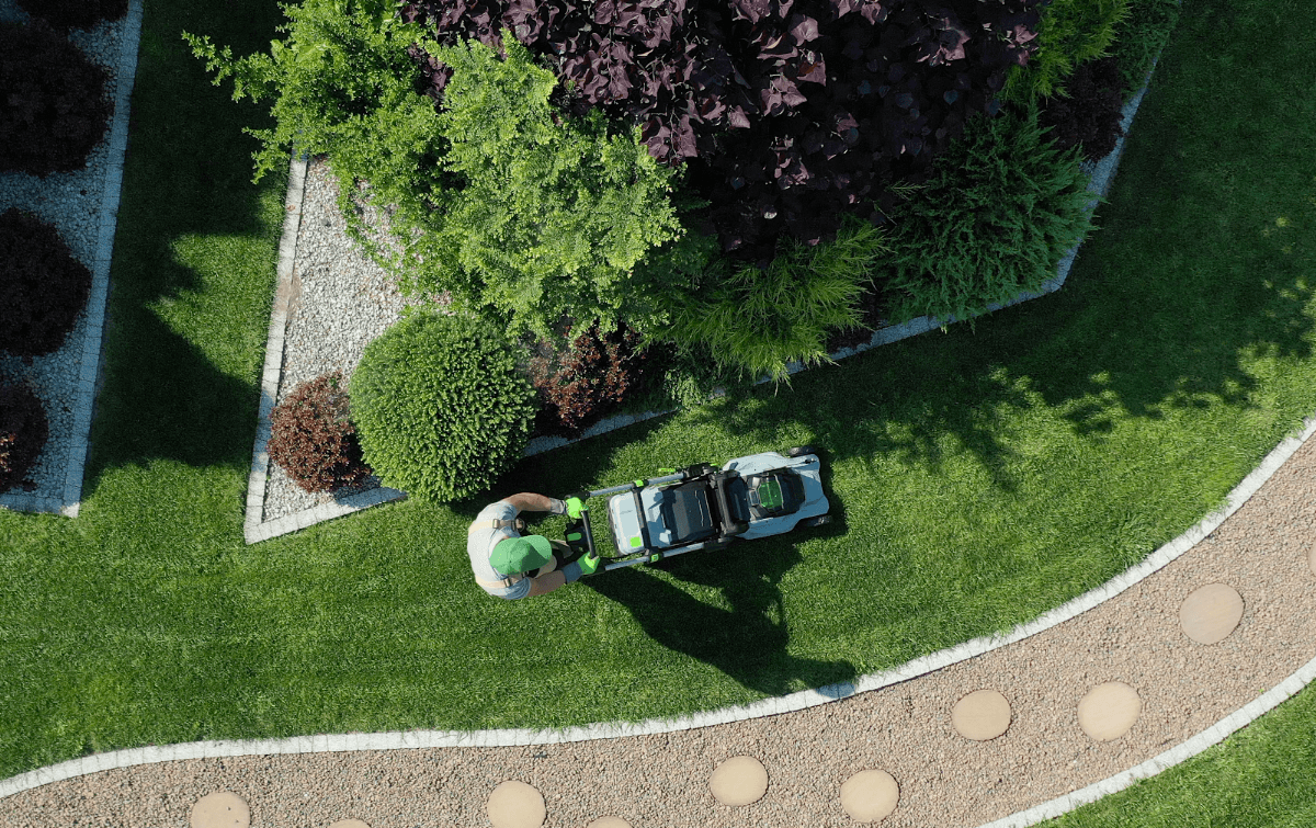lawn care by South Surrey Mowing in South Surrey