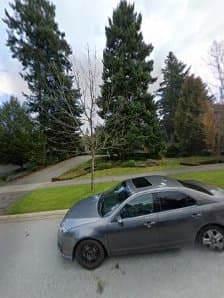 South Surrey Mowing, photograph 3 of South Surrey