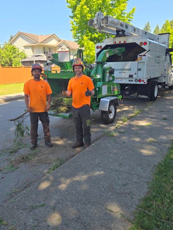 tree services by Specialized Tree Care in Port Coquitlam