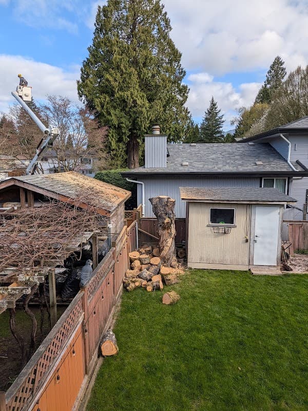 Specialized Tree Care, photograph 3 of Port Coquitlam