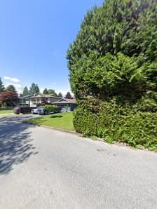 Specialized Tree Care, photograph 5 of Port Coquitlam