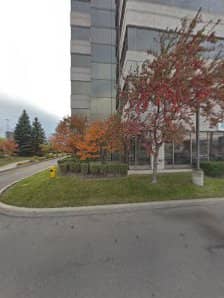 Specialty Stone Projects - Interlocking Pickering & GTA, photograph 2 of Pickering