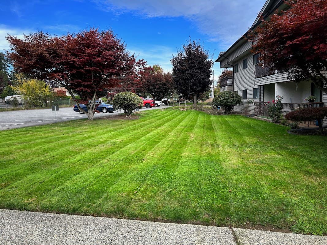 Spirit Landscaping, photograph 2 of South Surrey