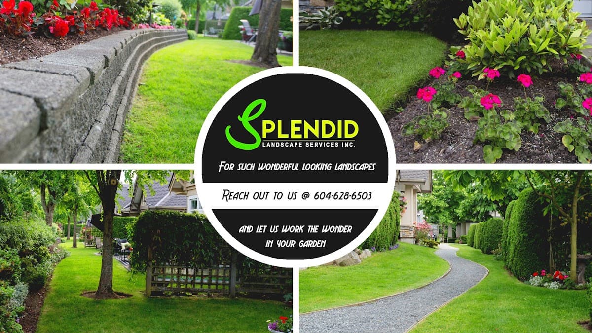 landscaping by Splendid Landscaping Services in Metrotown