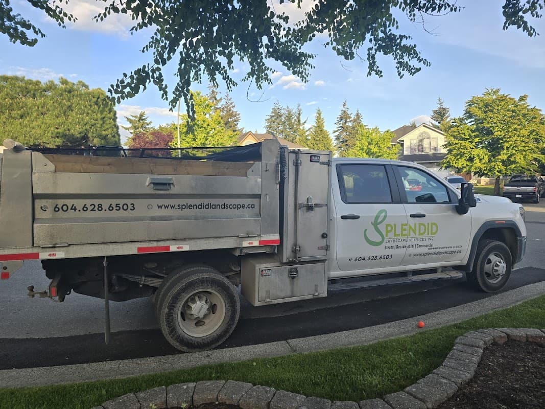 landscaping by Splendid Landscaping Services in Langley