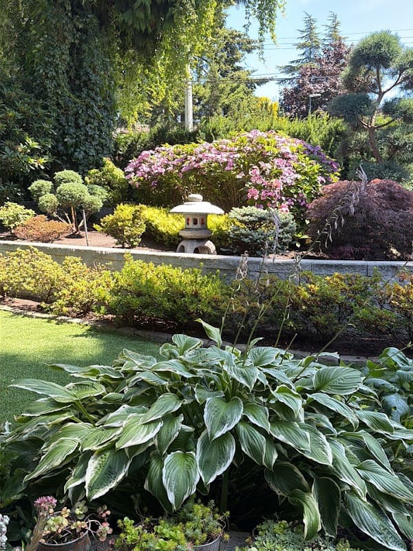 Strongbacks Landscaping, photograph 2 of South Surrey