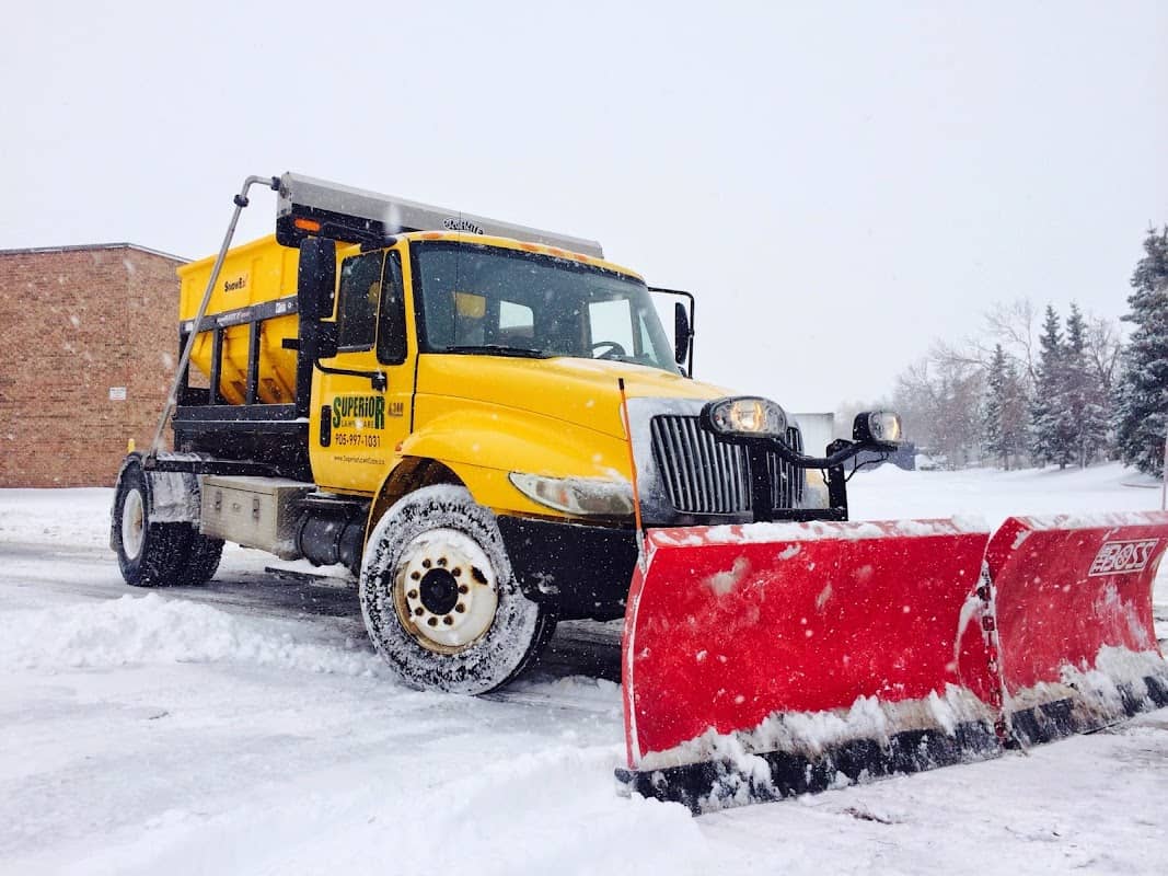 lawn care by Superior Lawn Care & Snow Removal in Islington-City Centre West