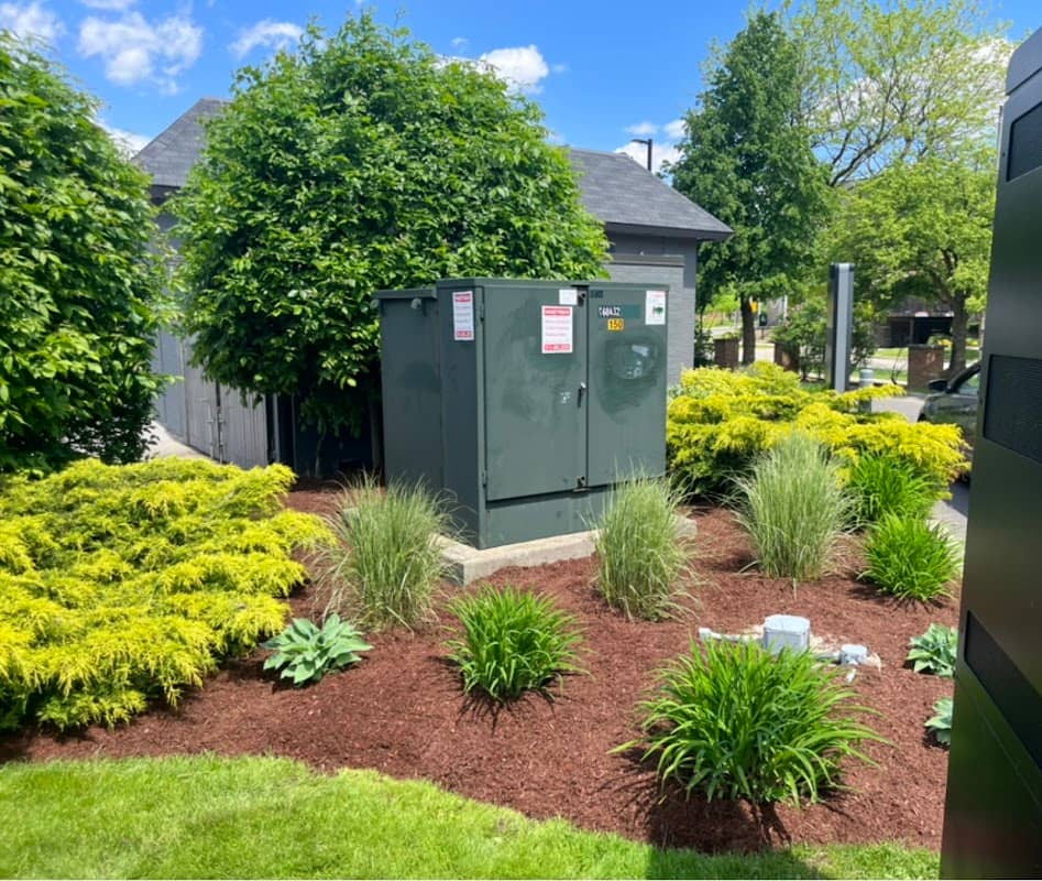 Superior Lawn Care & Snow Removal, photograph 2 of Islington-City Centre West