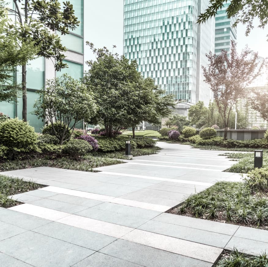 Symbiotic Landscapes Ltd., photograph 3 of Metrotown