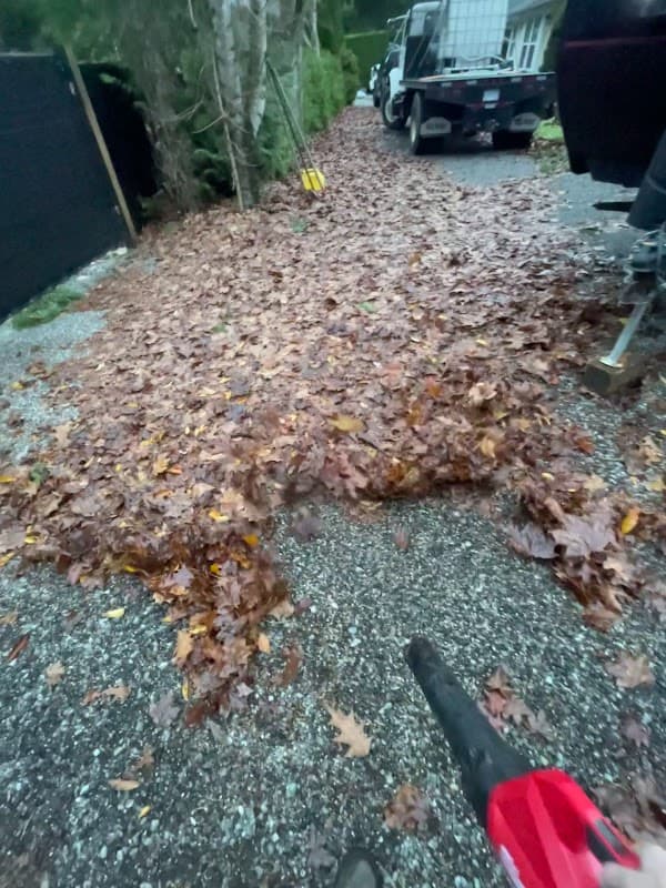 Taylor Made Landscaping, photograph 3 of Abbotsford