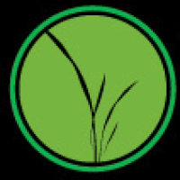 TBO'S GREEN LANDSCAPE SYSTEMS, photograph 2 of South Surrey