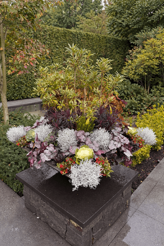 property maintenance by Tea Tree Gardens in Marpole