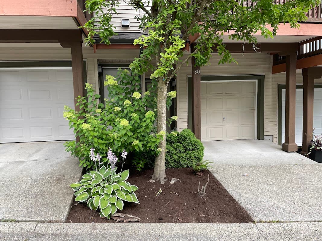 landscaping by Terra Firma Outdoor Care in Pitt Meadows