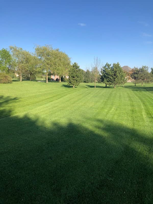 snow removal by TGF Lawn Care and Snow Removal in Vaughan