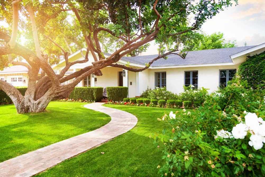 landscaping by The Field Crews Inc. - Commercial Landscaping - Vaughan & Toronto in Willowdale
