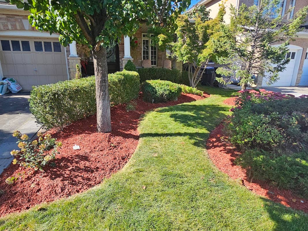 lawn care by The Friendly Green in Brampton