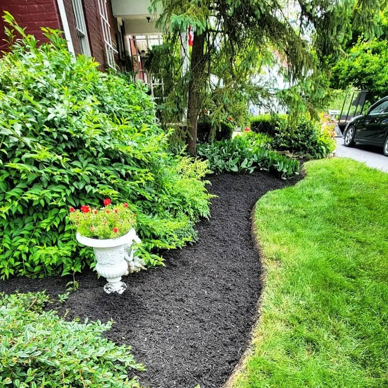 The Garden Boy: Lawn Maintenance Scarborough, photograph 4 of Scarborough Town Centre
