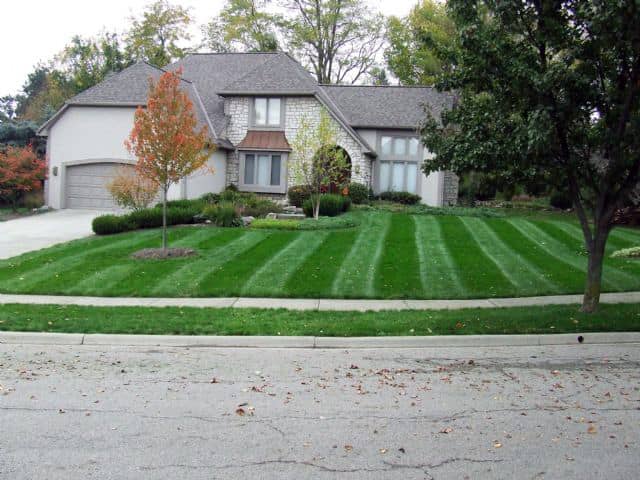 lawn care by The Gilded Garden Property Services in Richmond Hill