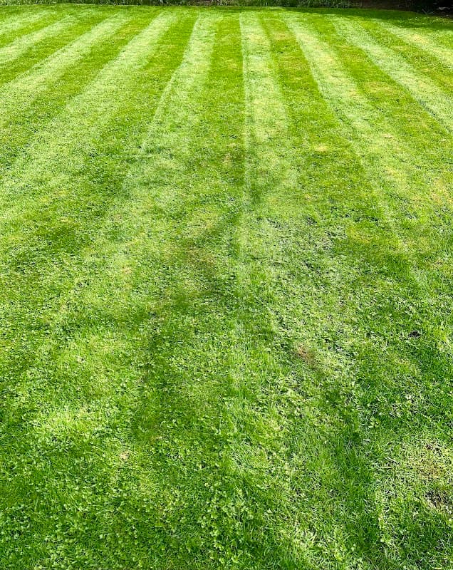lawn care by The Vancouver Lawn Care Crew in West End